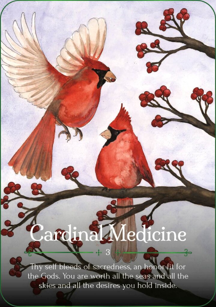 Seasons of the Witch. Yule Oracle