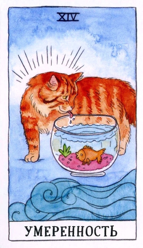 Умеренность/ Таро Котиков/ Cat Tarot