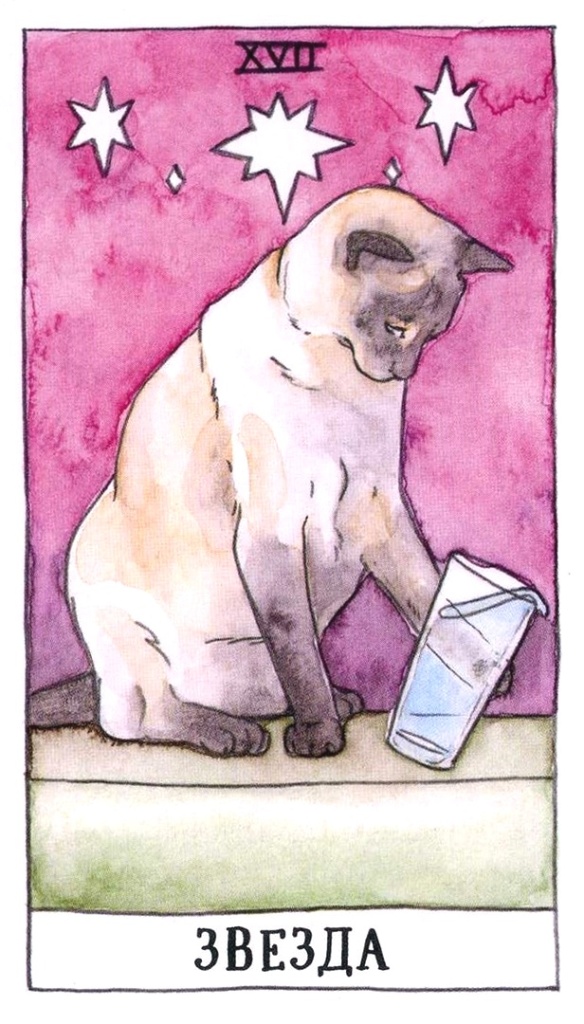 Звезда/ Таро Котиков/ Cat Tarot