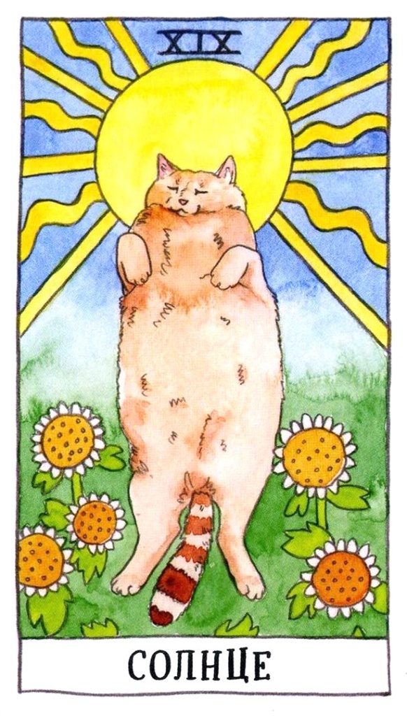 Солнце/ Таро Котиков/ Cat Tarot