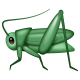 Кузнечик