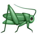 Кузнечик