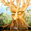27 – Дуб / Seasons of the Witch – Beltane Oracle