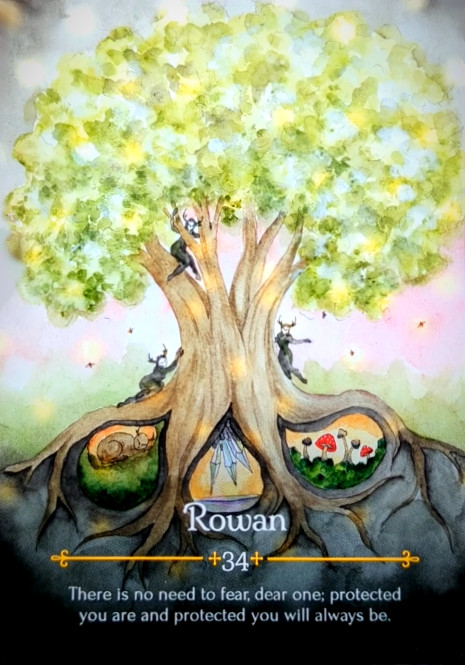 34 – Рябина – Beltane Oracle