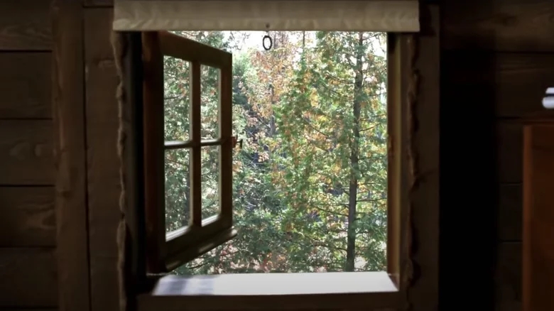 Тайное окно (Secret Window)