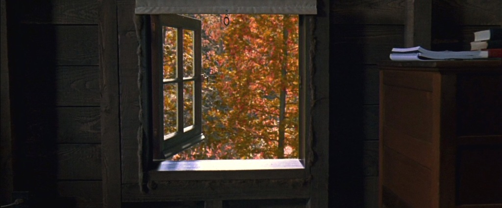 Секретное окно (Secret Window)