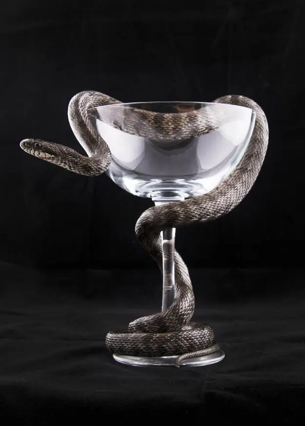 Кубок со змеёй