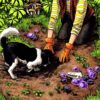 3-Копните глубже в медитации/ Everyday Witch Oracle