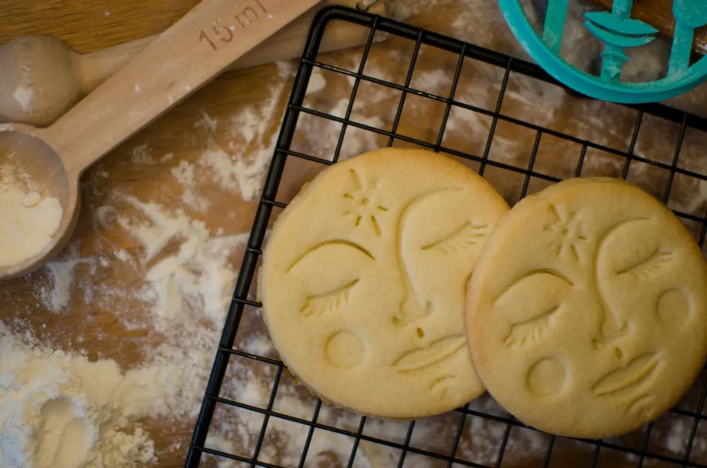 Moon Cookies. Лунные Пряники. Формочка для печенья в полнолуние - Луна